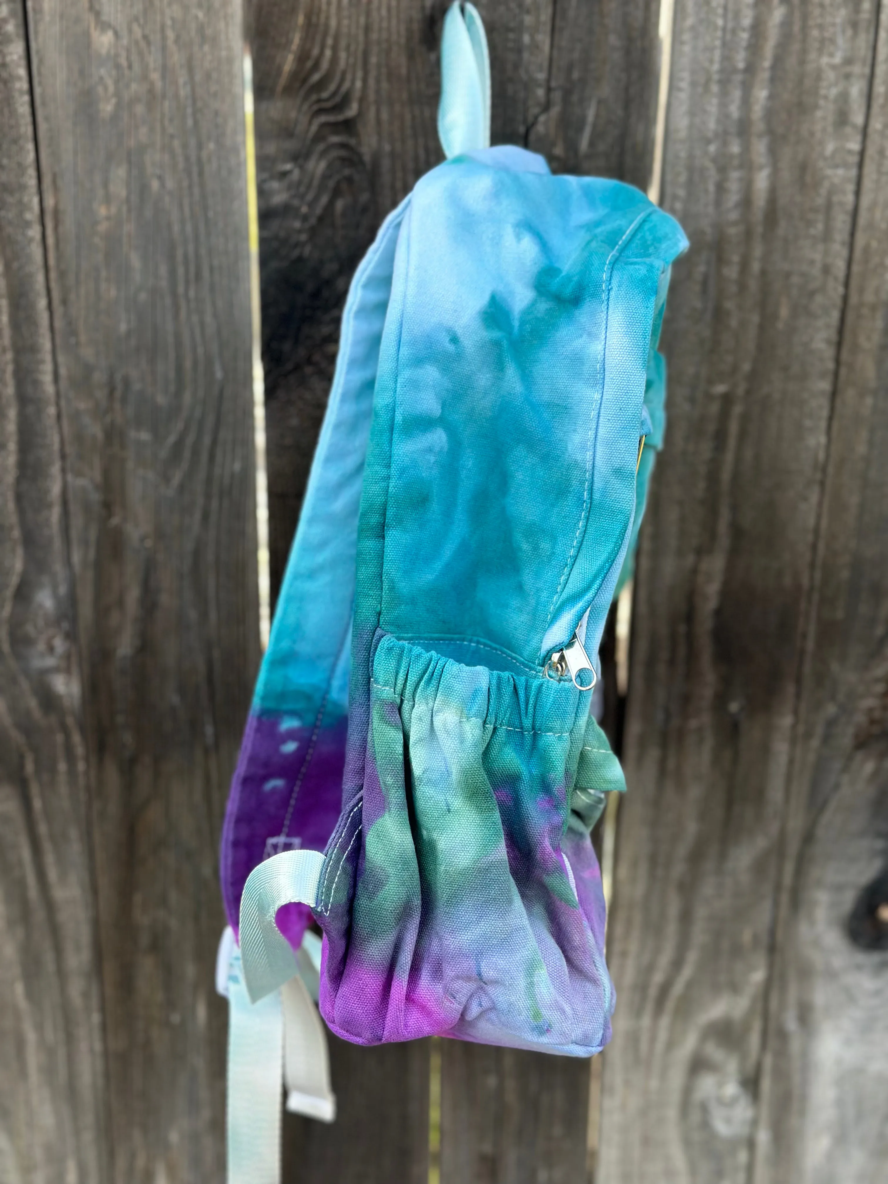 Backpack in Purple and Blue