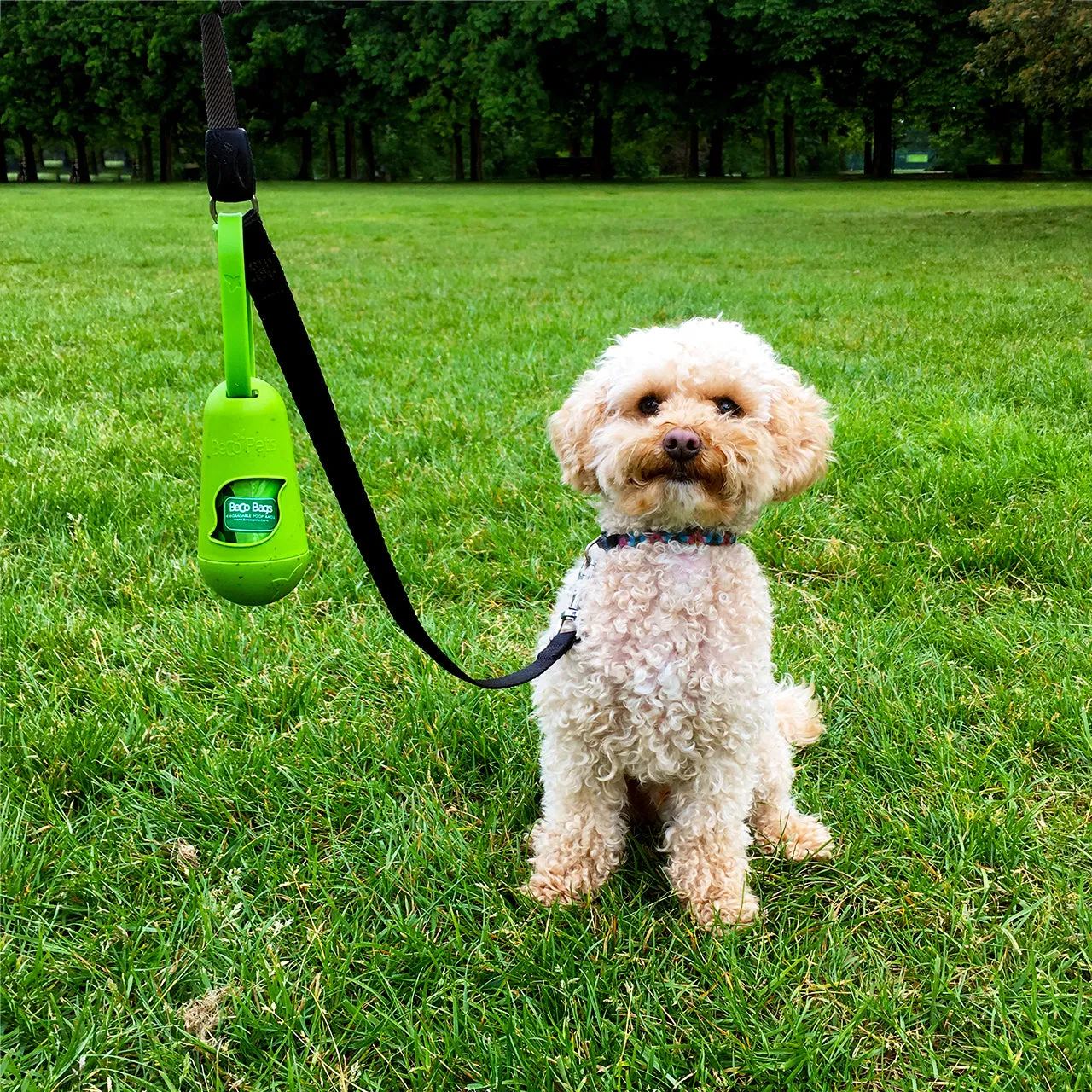 Bamboo Pod Poop Bag Dispenser