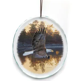 Gone Fishing - Bald Eagle