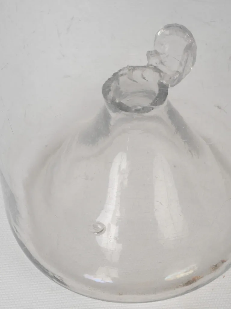 Large antique blown glass fish trap from Provence 16½"